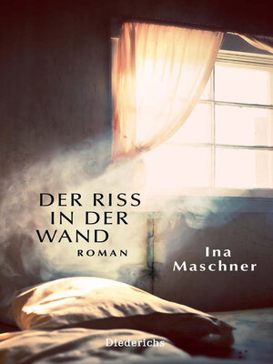 cover image of Der Riss in der Wand